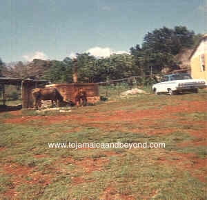 750CB160-41D8-41C1-8D63-924771BBA996