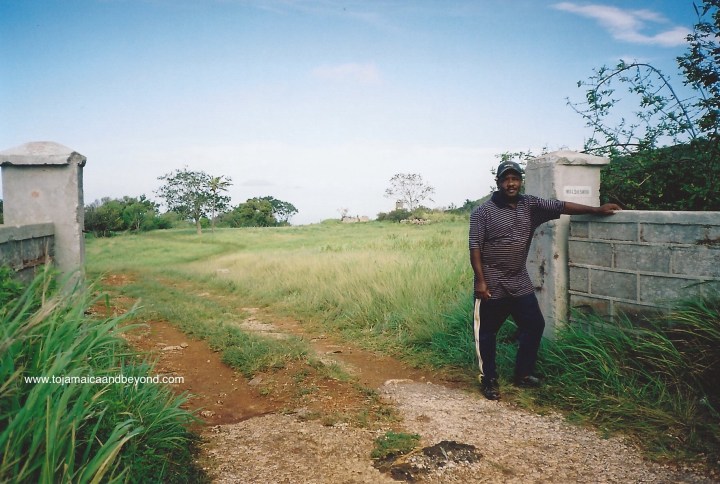 0F8F7FD3-3707-47DF-8195-41AE5B4664C1