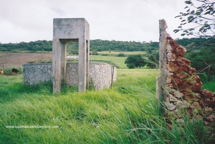 44768C36-21E5-472B-9D3E-41A33DF977E9