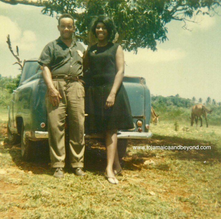 3CE58F47-A989-4423-A24A-8D8A9EAB0249